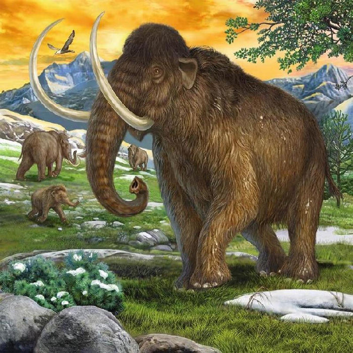Animales Prehistoricos Rompecabezas De Ravensburger
