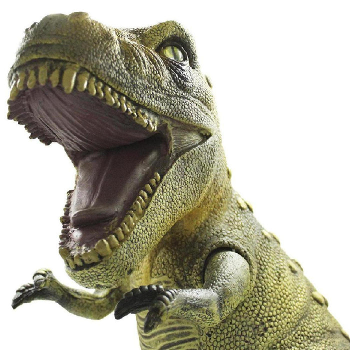 Super Paquete Dinosaurios Rex Gigante 10 Piezas- Realistas