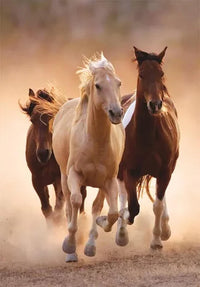 Rompecabezas Caballos Galopando (Compact Pro-Ecología) 1000 Piezas - 2