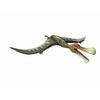 Volador Gaviota, Juguete De Dinosaurio - 2