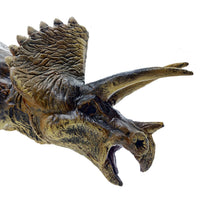 Triceratops Chico, Juguete De Dinosaurio - 11
