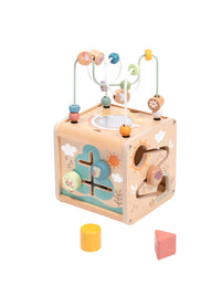 Cubo Didáctico Naturaleza de Madera - 1