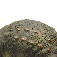 Triceratops Grande, Juguete De Dinosaurio - 5