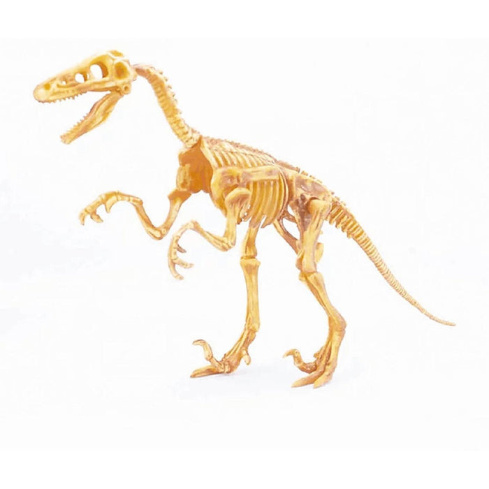 Dinohueso Velociraptor, juguete armable de dinosaurio