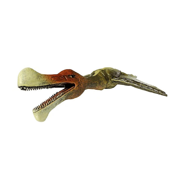 Volador Gaviota, Juguete De Dinosaurio