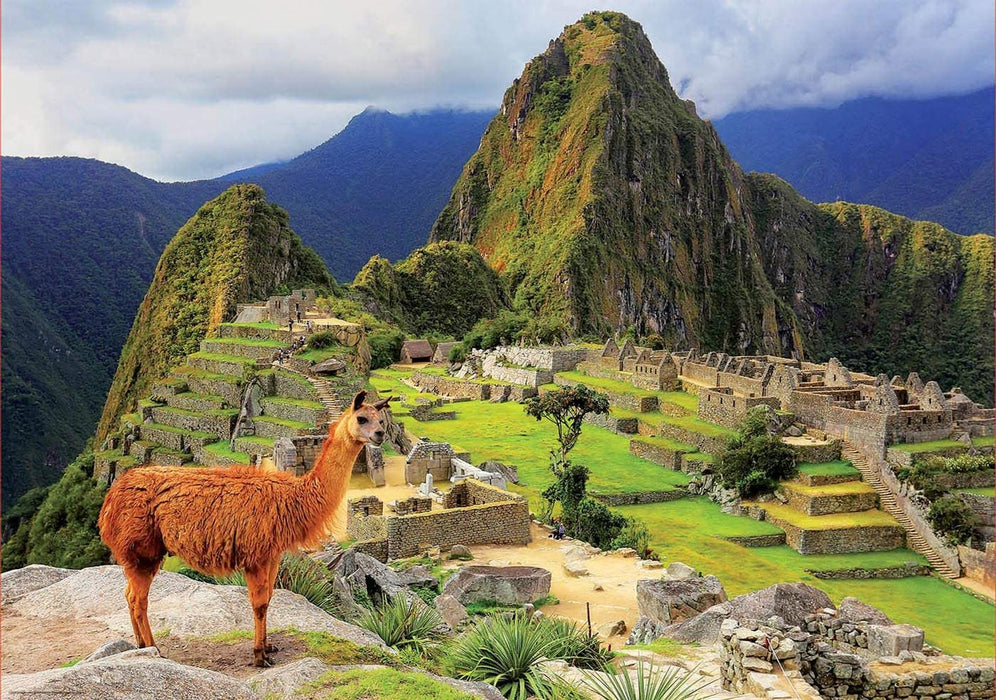 Rompecabezas Machu Pichu Peru 1000 Piezas