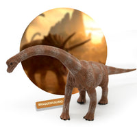 Figura de Dinosaurio Braqueosaurio Jurassic 30 cm - 3