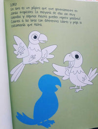 Libro 22X28 Cuenta Y Pega - 5