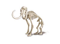 Juego De Excavación Mamut Y Smilodon Fosforescente- Clementoni - 2