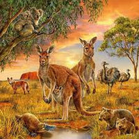 Rompecabezas 3 en 1 Animales De La Tierra 49 Piezas Cada Uno Ravensburger - 3