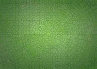 Rompecabezas Todo Verde 736 Piezas Ravensburger - 2