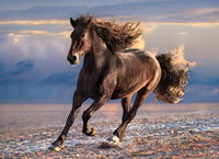 Rompecabezas Caballo Libre 1000 Piezas - 2