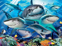 Rompecabezas Tiburones Sonrientes 300 Piezas Ravensburger - 2