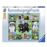 Simpaticos Cachorros Rompecabezas De 500 Piezas Ravensburger - 1