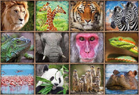 COLLAGE DE ANIMALES SALVAJES - 2