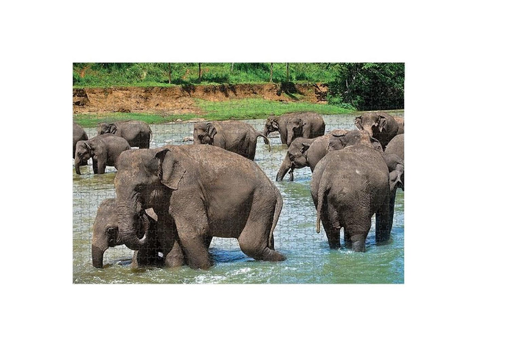 Rompecabezas Familia Elefantes 1000 Pzs 1000 Piezas