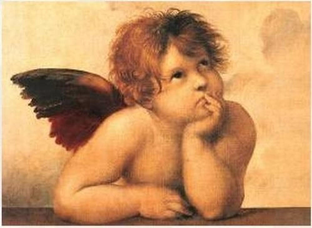 Rompecabezas Cherub 500 Piezas Tomax
