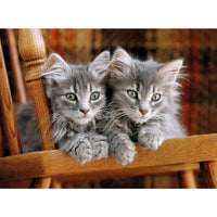 Rompecabezas Gatitos Animales 500 Pz Clementoni - 2