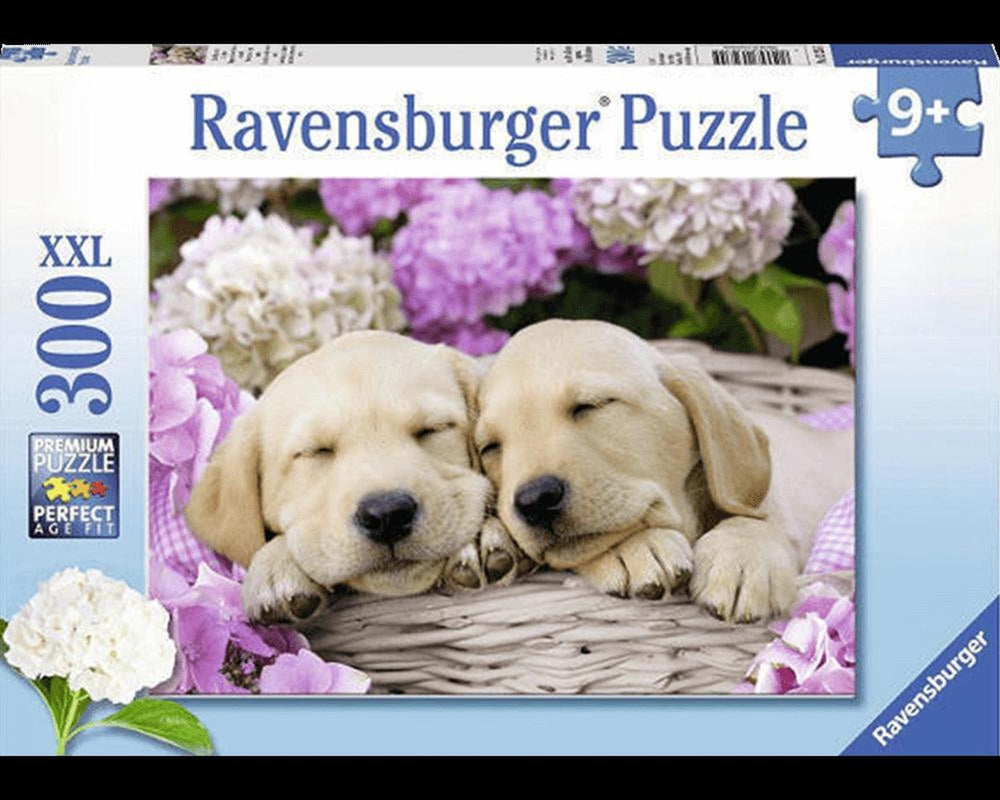 Perritos Durmiendo Rompecabezas De 300 Piezas Ravensburger