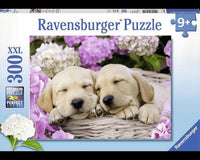 Perritos Durmiendo Rompecabezas De 300 Piezas Ravensburger - 1