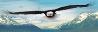 Rompecabezas Aguila Panoramico 1000 Piezas Eurographics - 2