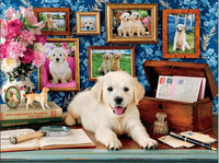 FAMILIA DE PERRITOS LABRADORES - 2