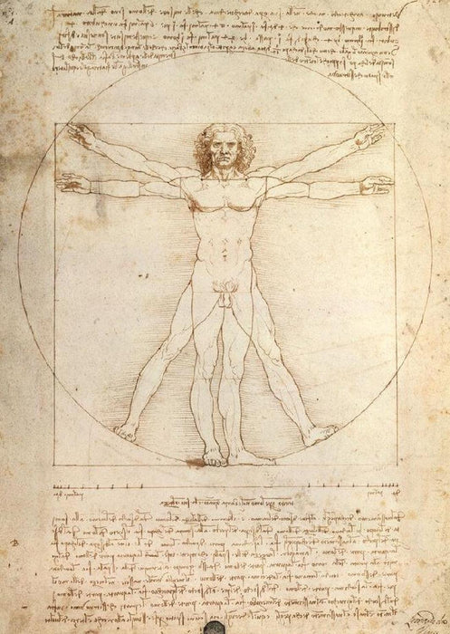 Rompecabezas Da Vinci: El Hombre 1000 Piezas Ravensburger