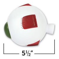 Cross Section Eye Model - 5