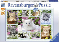 Rompecabezas Gatos Y Mas Gatos 500 Piezas Ravensburger - 1