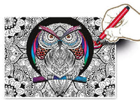 Rompecabezas Terapia De Color Buho 500 Piezas Clementoni - 3