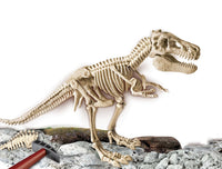 Juego De Excavación El Gran T-Rex Ciencia Y Juego- Clementoni - 2