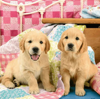 Cachorros Rompecabezas De 100 Piezas Ravensburger - 2