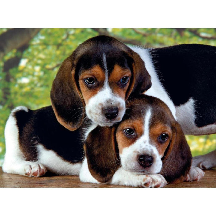 Rompecabezas Beagles Juntos 500 Pzs Clementoni