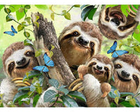 Selfi Osos Perezosos - 2