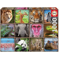 COLLAGE DE ANIMALES SALVAJES - 1