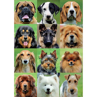 Rompecabezas Collage De Perros 500 Piezas - 2