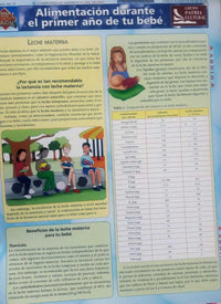 LIBRO ALIMENTACION DURANTE EL PRIMER AÑO DE TU BEBE - 1