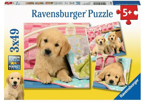 Cachorros Rompecabezas De 100 Piezas Ravensburger