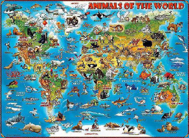 Mapa Animales Del Mundo Rompecabezas De 300 Piezas Ravensburger
